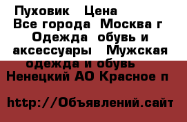 Пуховик › Цена ­ 2 000 - Все города, Москва г. Одежда, обувь и аксессуары » Мужская одежда и обувь   . Ненецкий АО,Красное п.